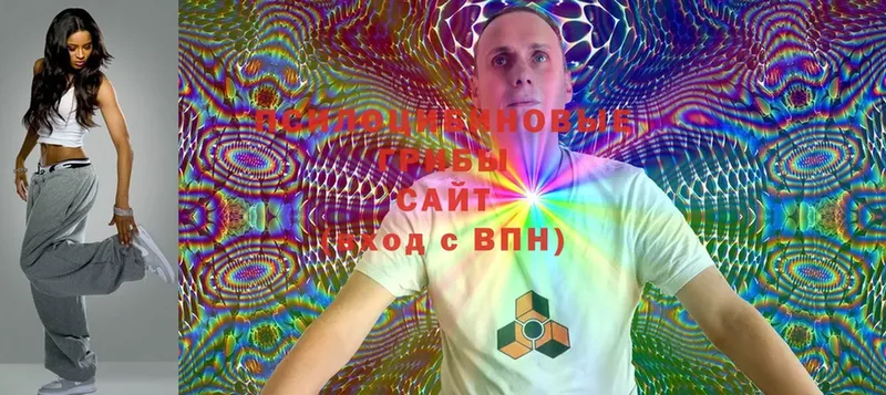 Галлюциногенные грибы MAGIC MUSHROOMS  Баксан 